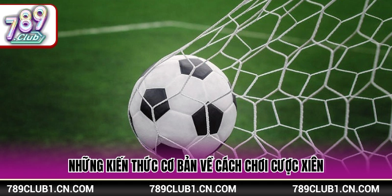 Cách Chơi Cược Xiên – Hướng Dẫn Cơ Bản Dễ Hiểu Tại 789Club 3 Quy tắc đánh cược xiên cho người mới