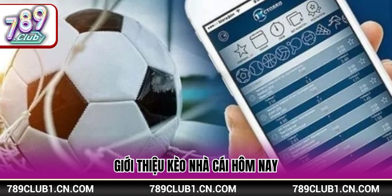 Kèo Nhà Cái Hôm Nay – Cập Nhật Tỷ Lệ Mới Nhất Tại 789Club 2 Tổng quan tỷ lệ kèo nhà cái hôm nay