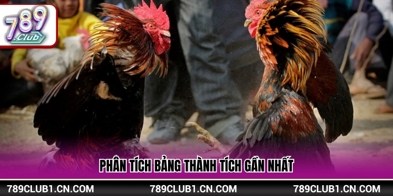 Mẹo Cá Cược Đá Gà Hiệu Quả Từ Kinh Nghiệm Cao Thủ 789Club 4 Mẹo cá cược đá gà xem xét kết quả các trận gần đây