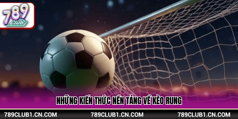 Mẹo Chơi Kèo Rung – Kinh Nghiệm Bắt Kèo Trong Trận Cho Newbie 3 Thông tin cốt lõi về hình thức cược rung