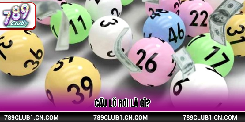Giải nghĩa thuật ngữ lô rơi trong xổ số